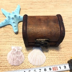 置物まとめ売り　貝殻やベンチの画像