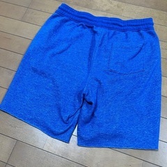 ホリスター　メンズ　パンツ　短パン　Mサイズの画像