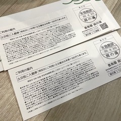 豊島園　庭の湯　土日祝　ご入館券　2枚　バーデ　天然温泉の画像