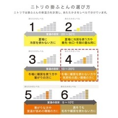 一点のみ,早い者勝ち/カバー付き吸汗ボリューム組布団8点セット ダブルサイズの画像