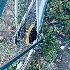 26インチ 自転車 6段ギア付きの画像
