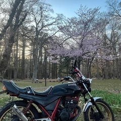 CBX250RS 自賠責3年満タン前後タイヤ新品