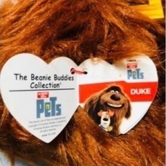 ラスト1点　映画  ペット　DVD と　デューク　ぬいぐるみ ニューファンドランドの画像