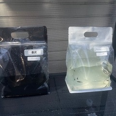 メダカ無人販売
の画像