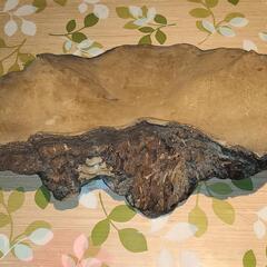 さるのこしかけの画像