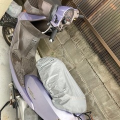原付　ホンダチェスターの画像