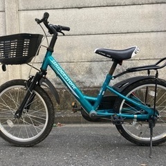 エコキッズ 自転車の中古が安い！激安で譲ります・無料で