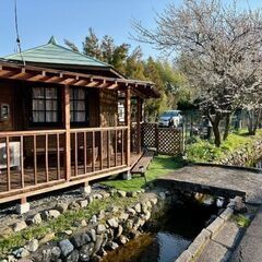 高島市新旭町、湧水地帯にある広いドッグラン付賃貸 (再掲載) - 高島市