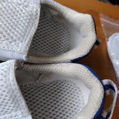 イフミー　上履き　15.5cmの画像