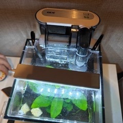 水槽、水草、フィルター、ヒーター、LEDなどのフルセットの画像