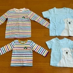 グラニフ 親子ペア　はらぺこあおむし 無印良品　Tシャツ　長袖