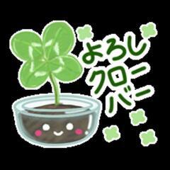 新宿園芸の会　新宿区民じゃなくてもウェルカムです。