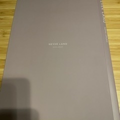 安室奈美恵ラストライブグッズ写真集NEVER LANDパンフレットの画像