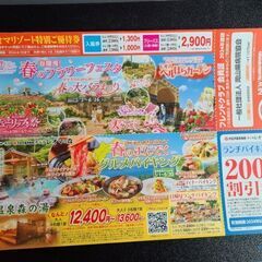 レオマリゾート特別ご優待券(無料)