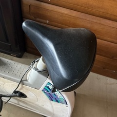 エアロバイク　EZ101の画像