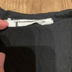 アレキサンダーワンの画像