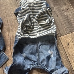犬服の画像
