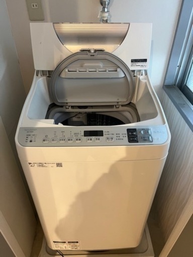 家電 生活家電 洗濯機