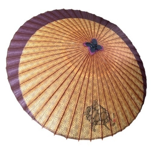和傘 蛇の目傘【美品】