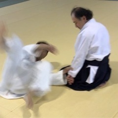 浜松  大東流合気柔術 廣濱道場 鍛錬会 - 浜松市