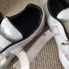 スポーツ 野球の画像