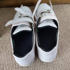 スポーツ 野球の画像