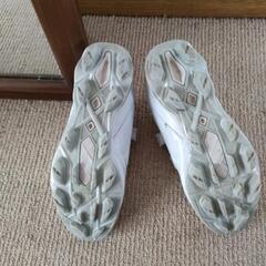 スポーツ 野球の画像