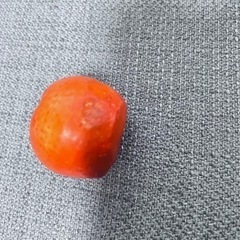 果物のキャンドル、ロウソクの画像