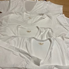 メンズ半袖、長袖シャツの画像