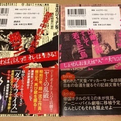 ヤミの乱破の画像