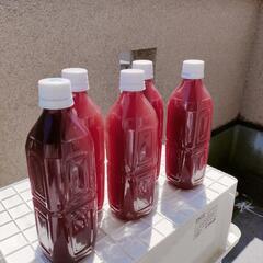 ☆お買い得☆PSB光合成細菌溶液500ml×5本セット　白鷺めだか