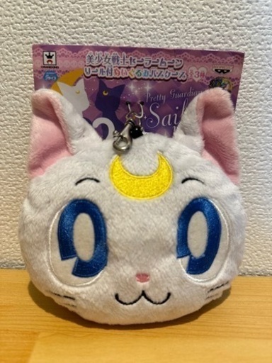 レア✨️セーラームーンパスケース