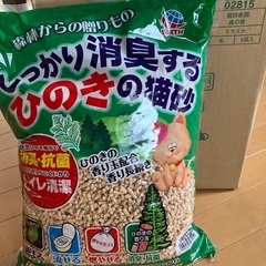 猫砂　ひのき　6袋の画像