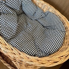 犬　部屋　かご　ペット　決定しましたの画像