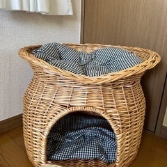犬　部屋　かご　ペット　決定しましたの画像