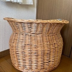 犬　部屋　かご　ペット　決定しましたの画像