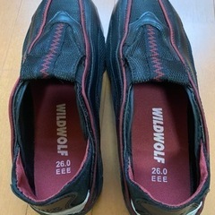 安全靴新品購入(26)の画像
