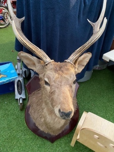 家具 インテリア雑貨/小物 置物、オブジェ