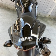 Ninja250Rの画像