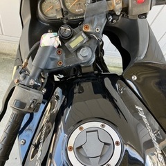 Ninja250Rの画像