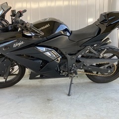 Ninja250Rの画像
