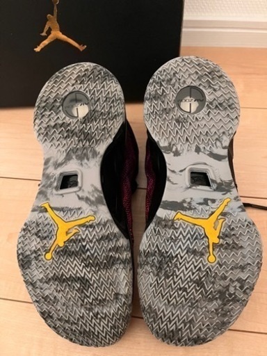エアジョーダン 26cm　Air Jordan XXXVI PF