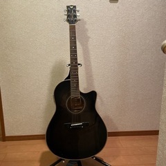 楽器 弦楽器、ギター