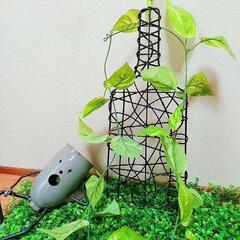 🌟オシャレな飾り物🌟の画像