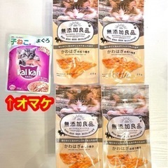 【受け渡し決定5/15】猫おやつ　無添加良品　かわはぎの炙り焼き...