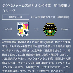 【0円】あげます。2024/04/27(土) 14時キックオフ　テゲバジャーロ宮崎対ＳＣ相模原　ホームＧ裏席　電子チケット大人招待券の画像