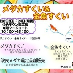 メダカ展示即売会、メダカ掬い、金魚掬い