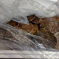 北海道産直『旬の帆立』料理宣伝チラシ配布の画像