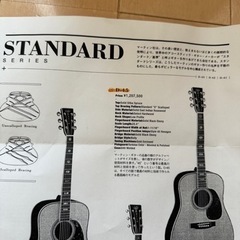 マーティン　スタンダード　D-45