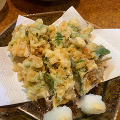 🍺秋田グルメサークル メンバー募集！！ - 秋田市